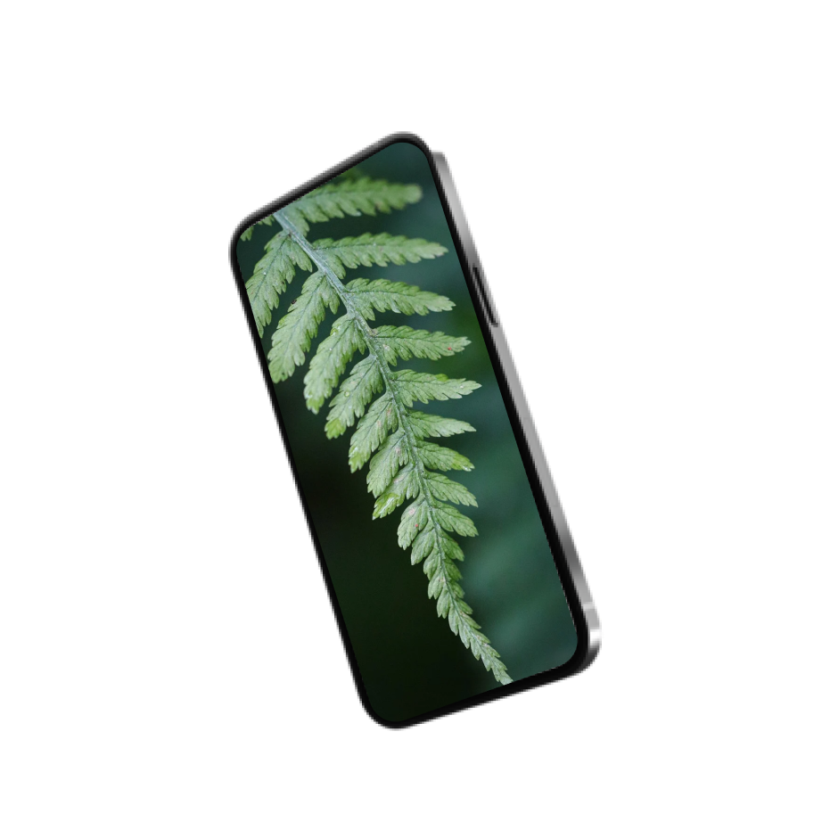 Phone Image